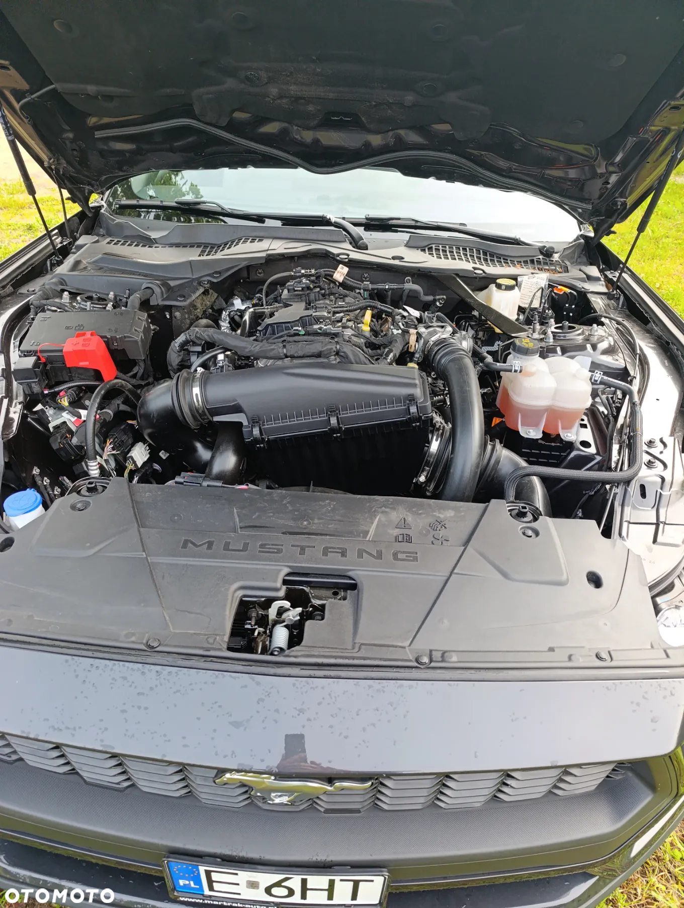 Ford Mustang Fastback 2.3 Eco Boost - 14
