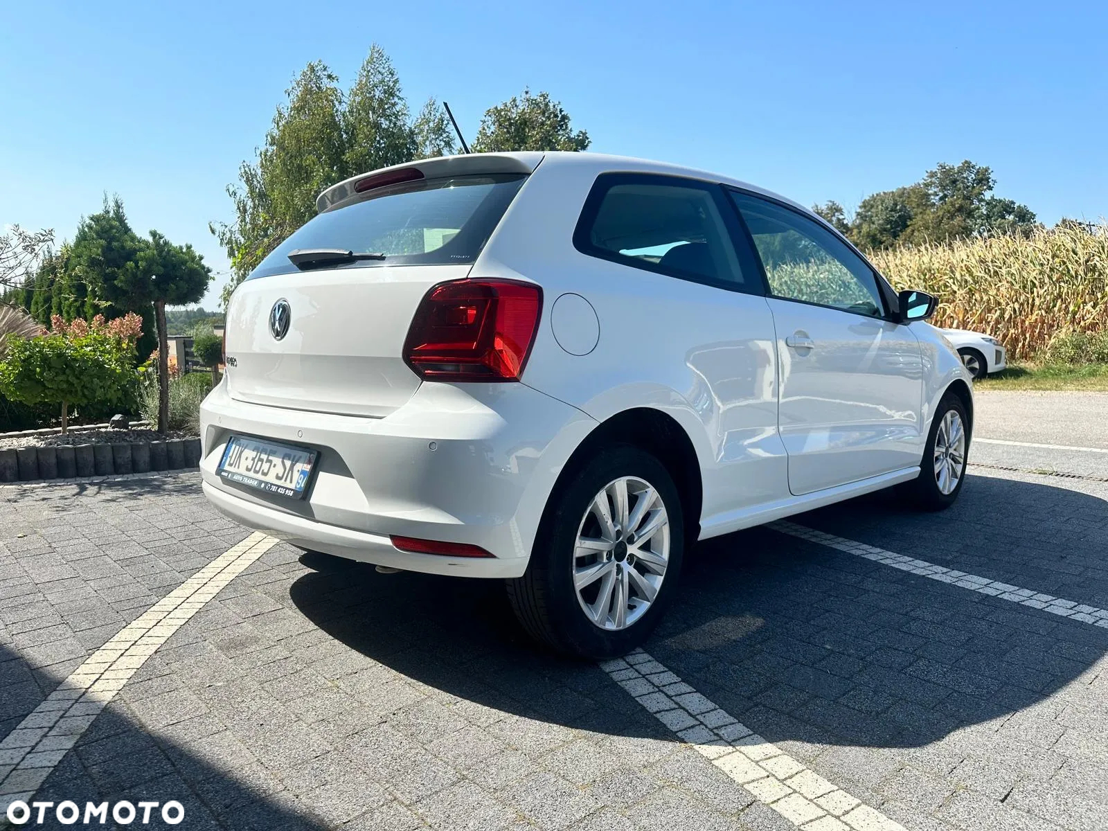 Volkswagen Polo - 4