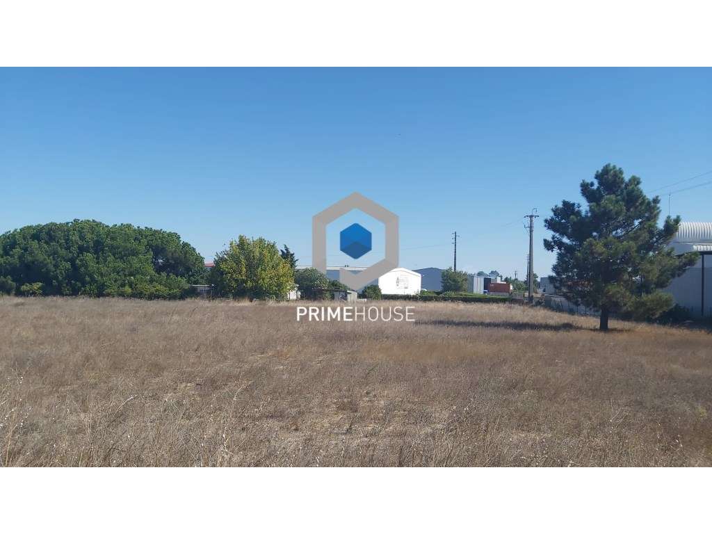 Lote de terreno industrial em Vila Amélia Azeitão - Grande imagem: 5/13