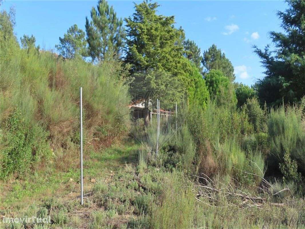 Quinta  para venda - Grande imagem: 4/27