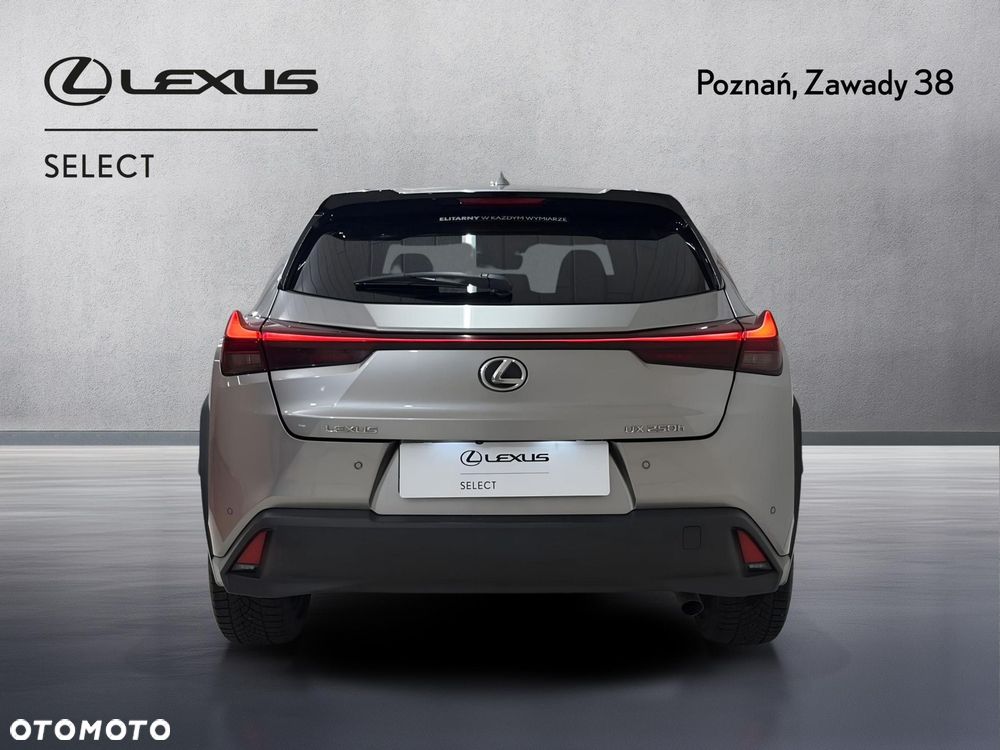 Lexus UX 250h GPF Business 2WD - 7
