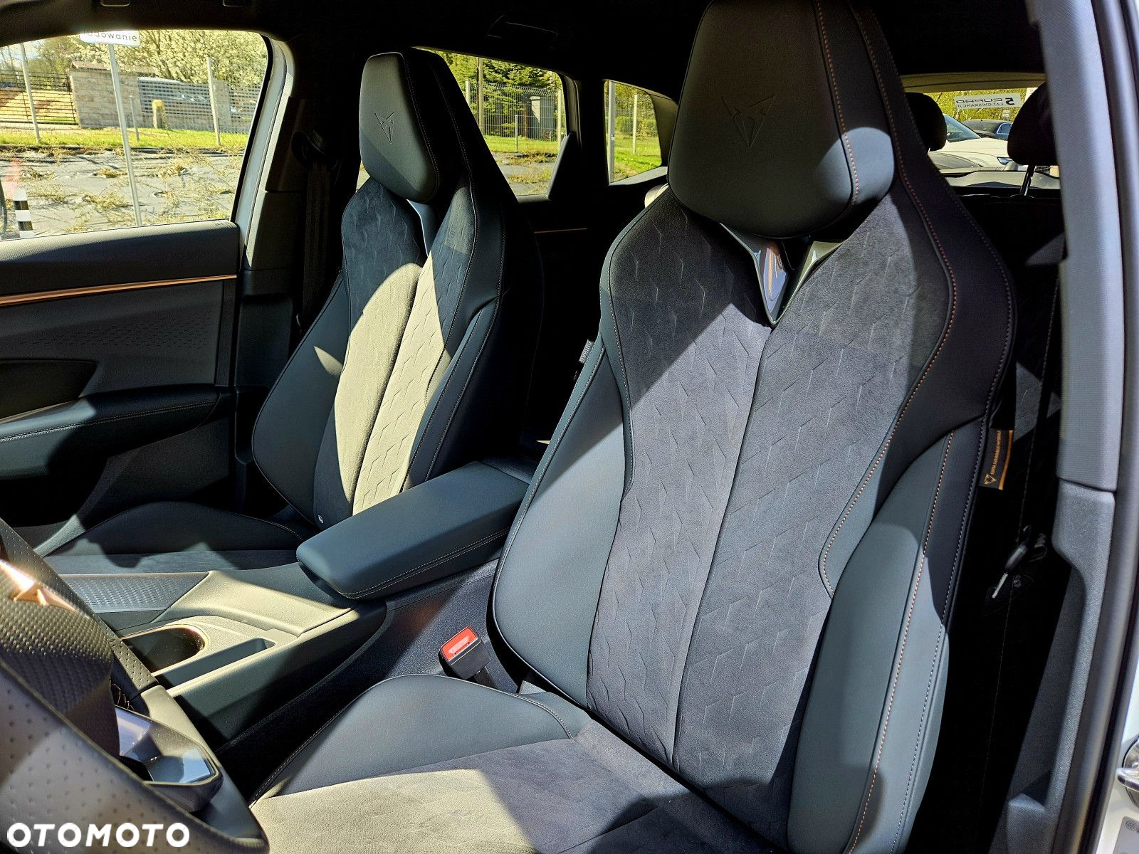 Cupra Terramar - 14