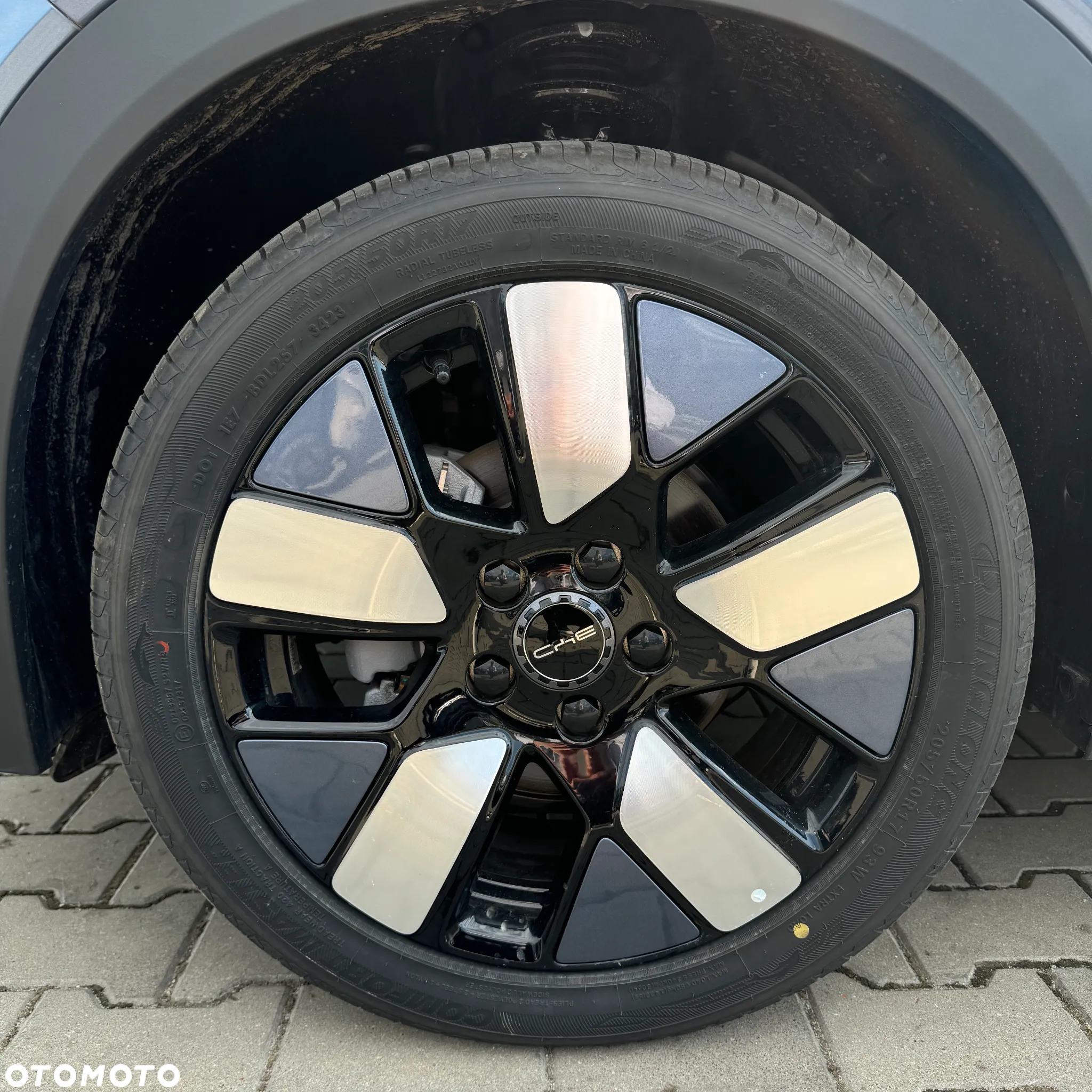 BYD Dolphin Mini - 10