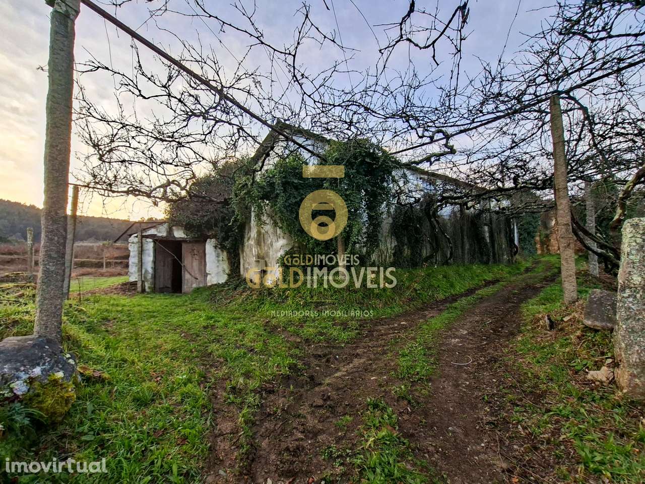 Quintinha T3 Venda em Santa Maria de Sardoura,Castelo de Paiva - Grande imagem: 4/34