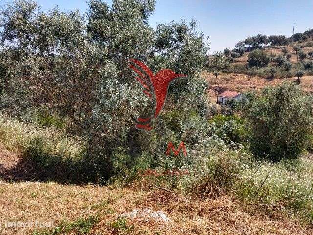 TERRENO PARA CONSTRUÇÃO- AVIS - Grande imagem: 5/7