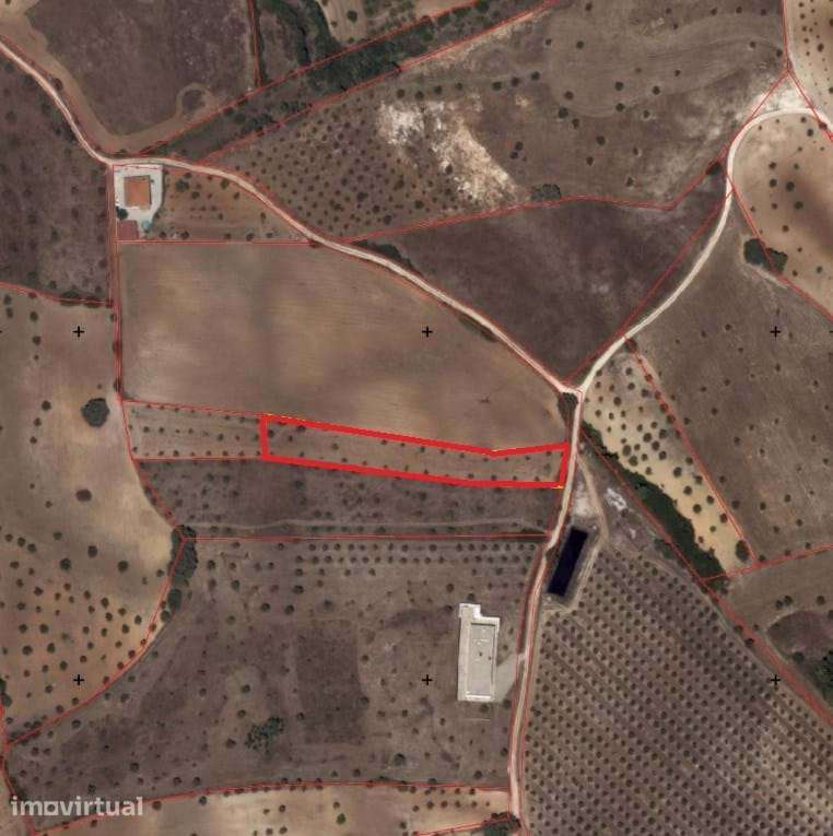 Terreno urbanizável de 3740 m2 à venda em Tremês, Santarém - Grande imagem: 3/7