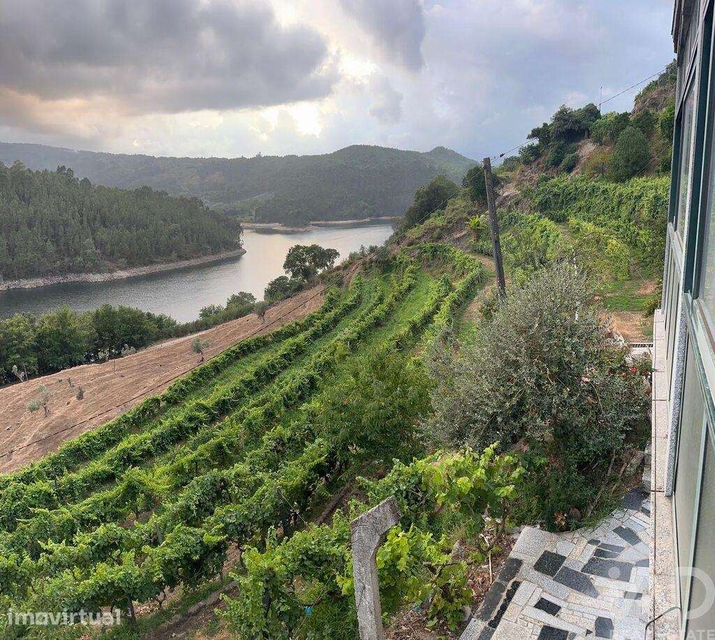Quinta rural T4 em Valadares de 40000 m2 - Grande imagem: 5/30