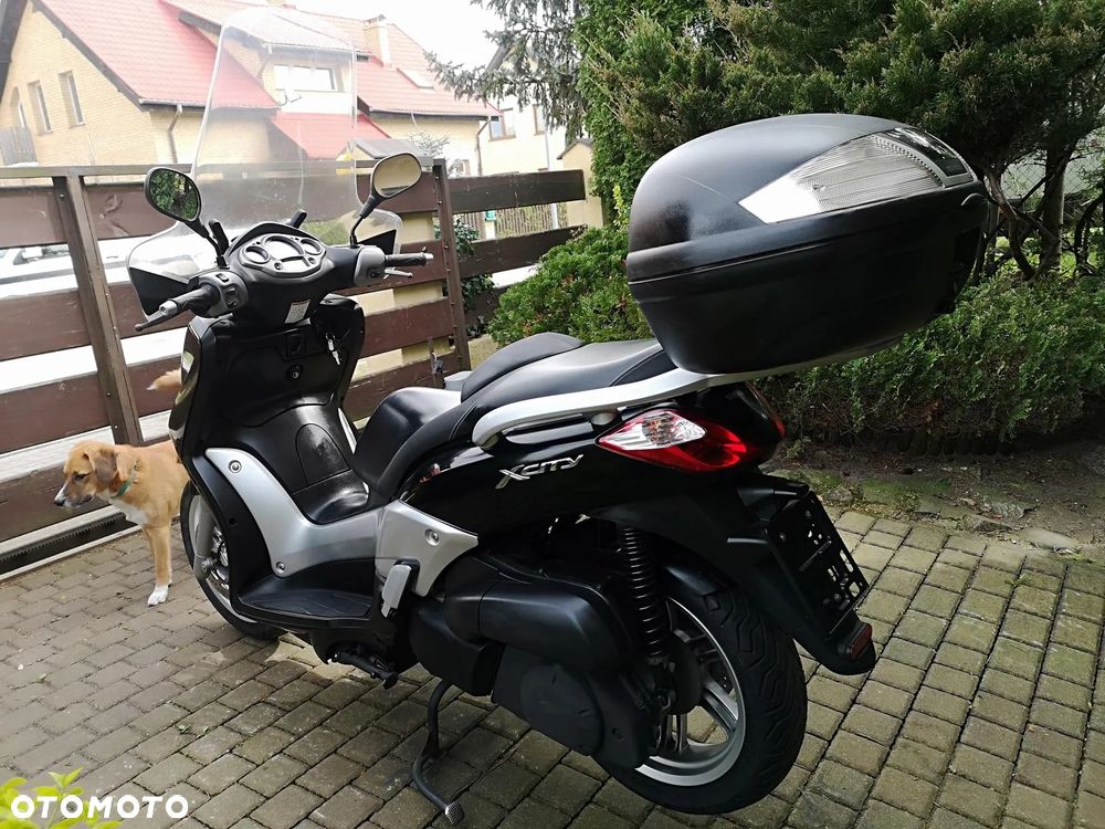 Yamaha Inny - 13