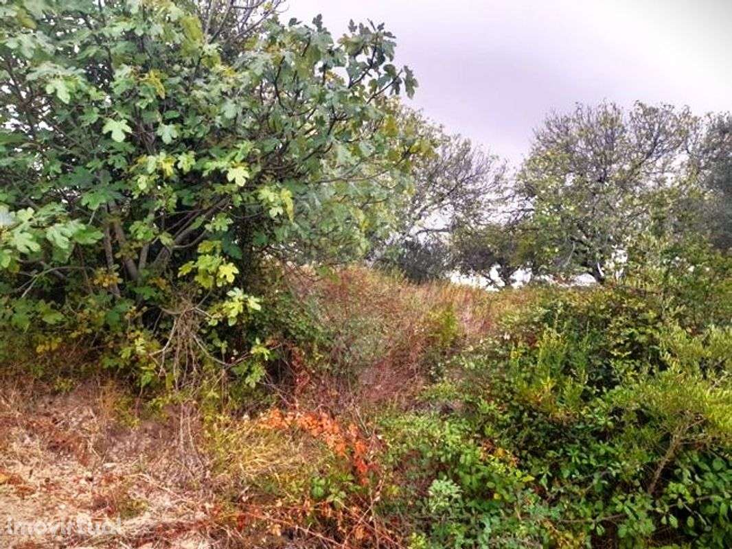 Terreno  para venda - Grande imagem: 4/4