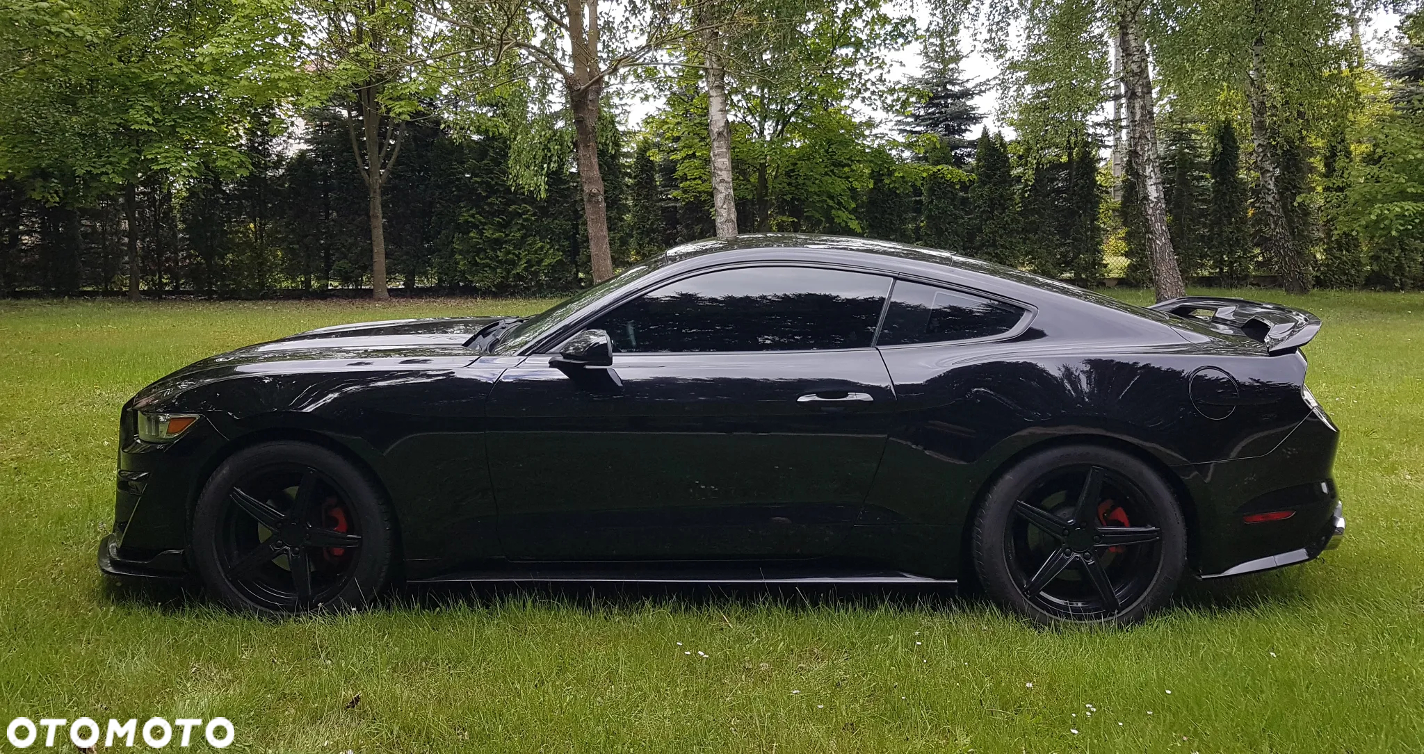 Ford Mustang 3.7 V6 - 2