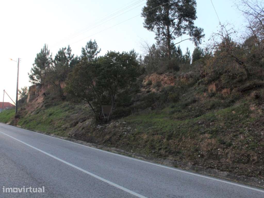 Terreno - Grande imagem: 4/11