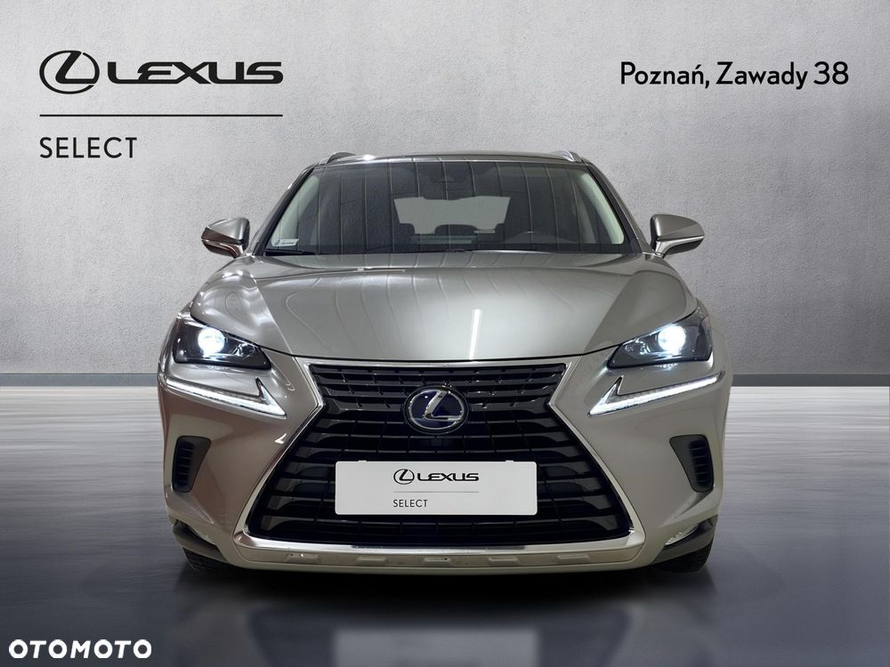 Lexus NX 300h Business Edition AWD - 6