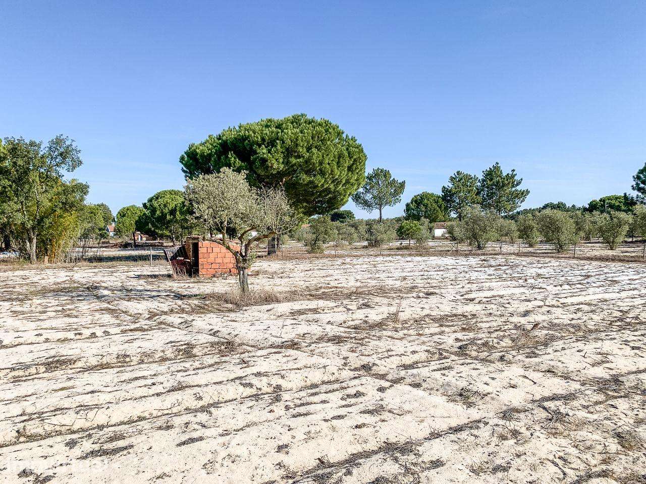 Terreno rústico com 2.600 m² - Vale Gamito, Quinta do Amaro, Grândola - Grande imagem: 4/11