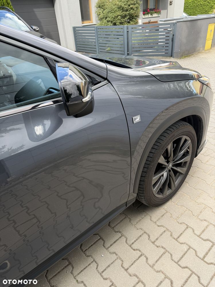 Lexus NX - 12