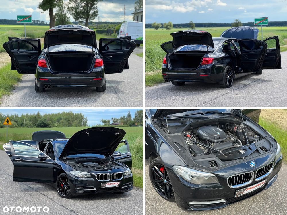 BMW Seria 5 520d Luxury Line - 21