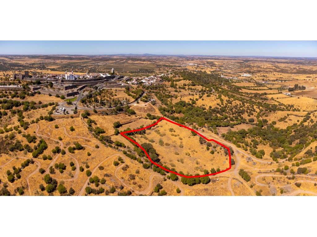 Quinta com 1,2ha e ruína para recuperar - Vista Castelo de Monsaraz... - Grande imagem: 3/30