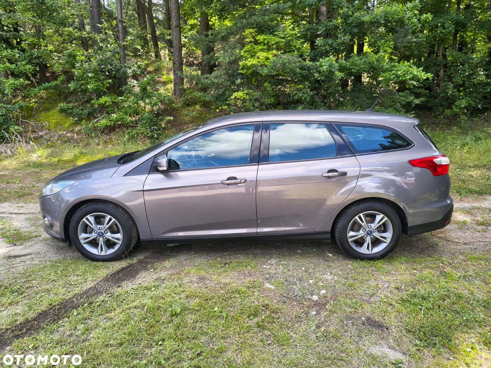 Ford Focus - 3