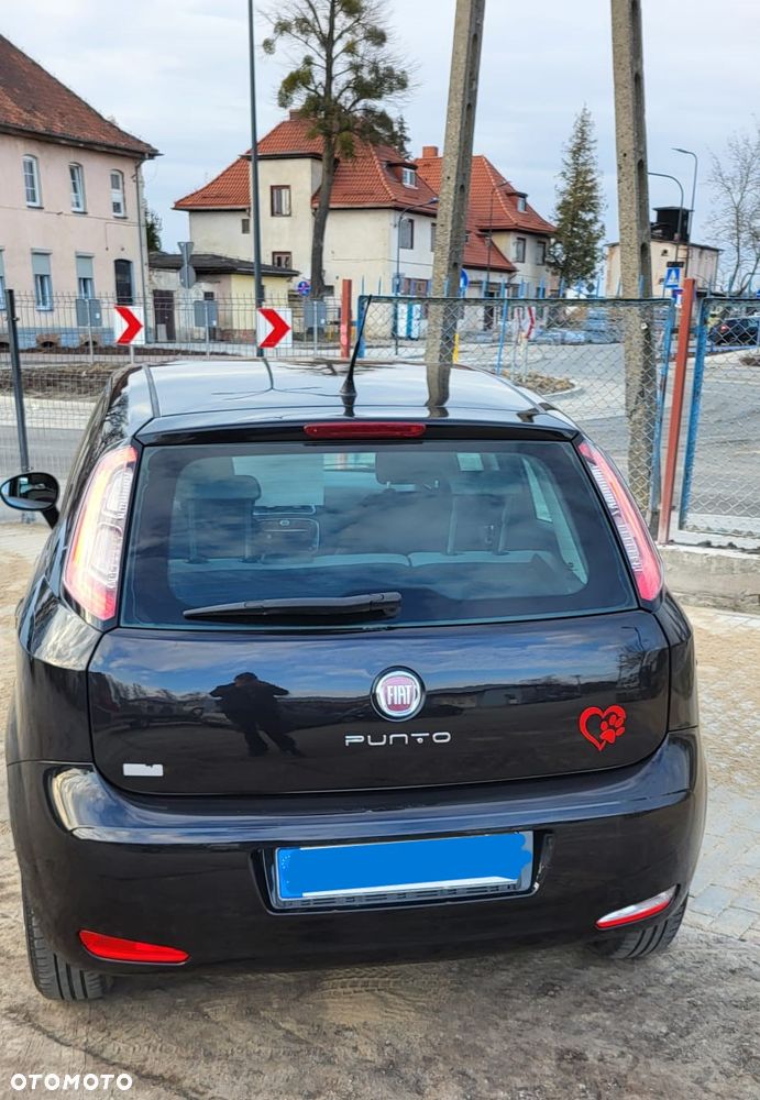 Fiat Punto - 3