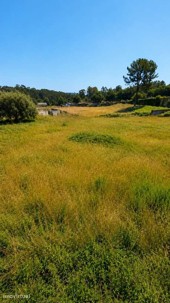 Terreno Urbano de 2.600 m² em São Romão do Coronado - Grande imagem: 2/11