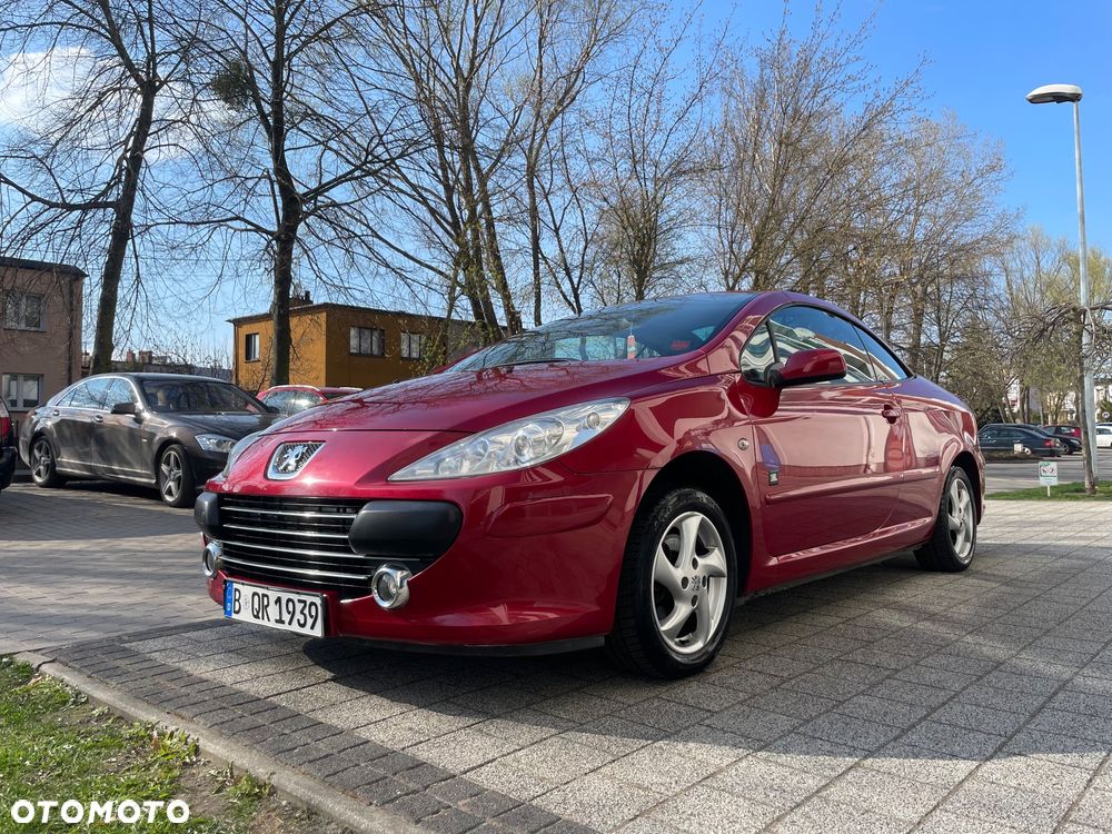 Peugeot 307 2.0 Sporty - 6