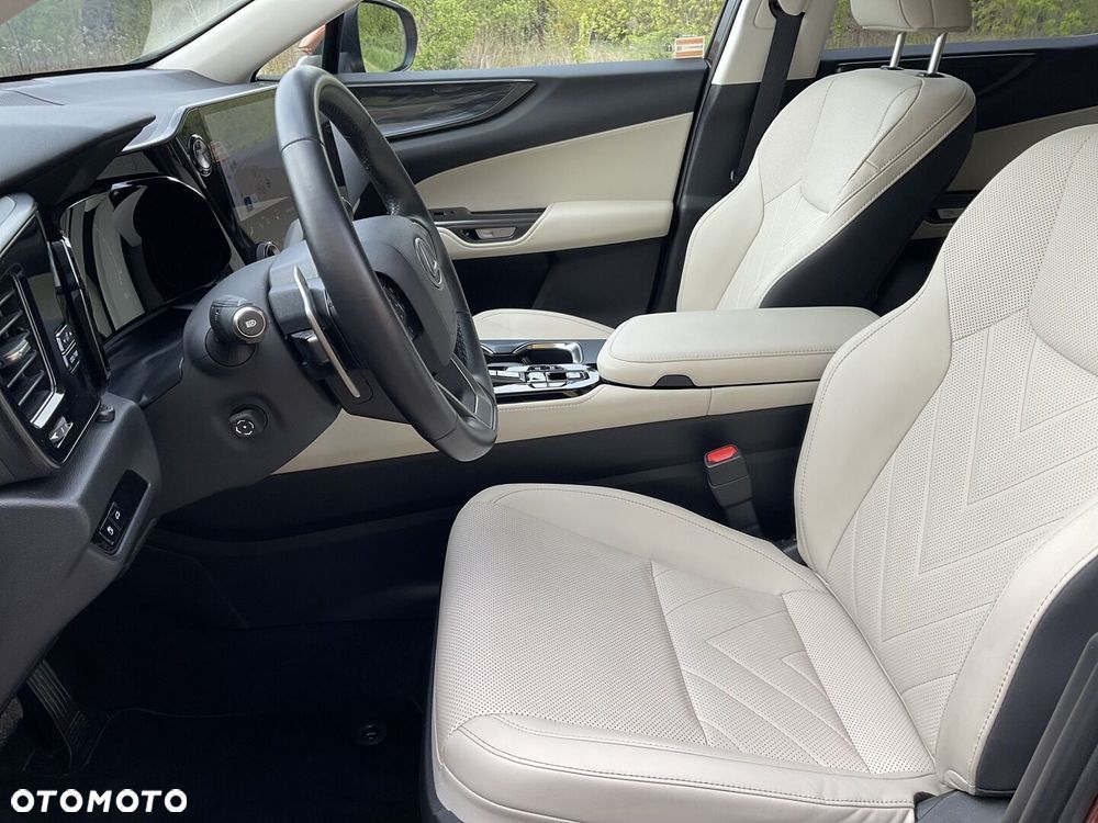 Lexus NX - 21