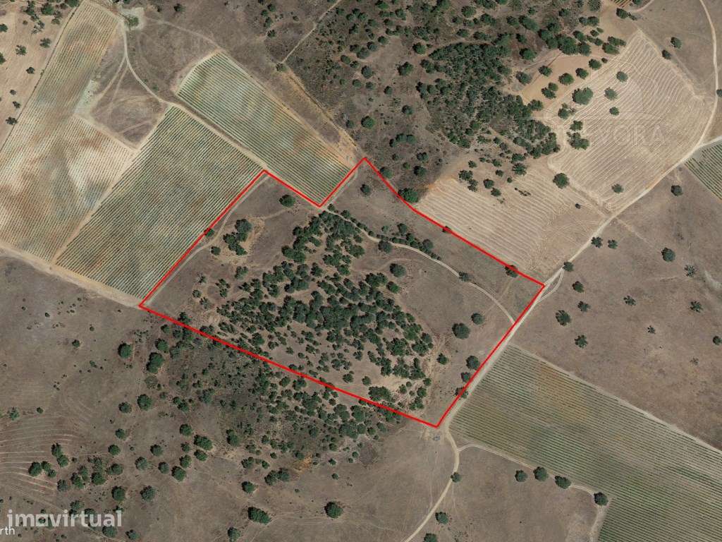 Terreno Rústico com 7,5 ha no Alandroal | Oportunidade para Agricul... - Grande imagem: 2/4
