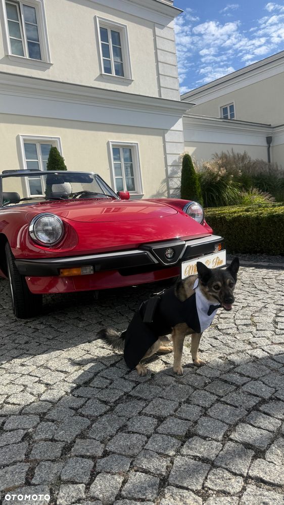 Alfa Romeo Spider 2.0 - 5