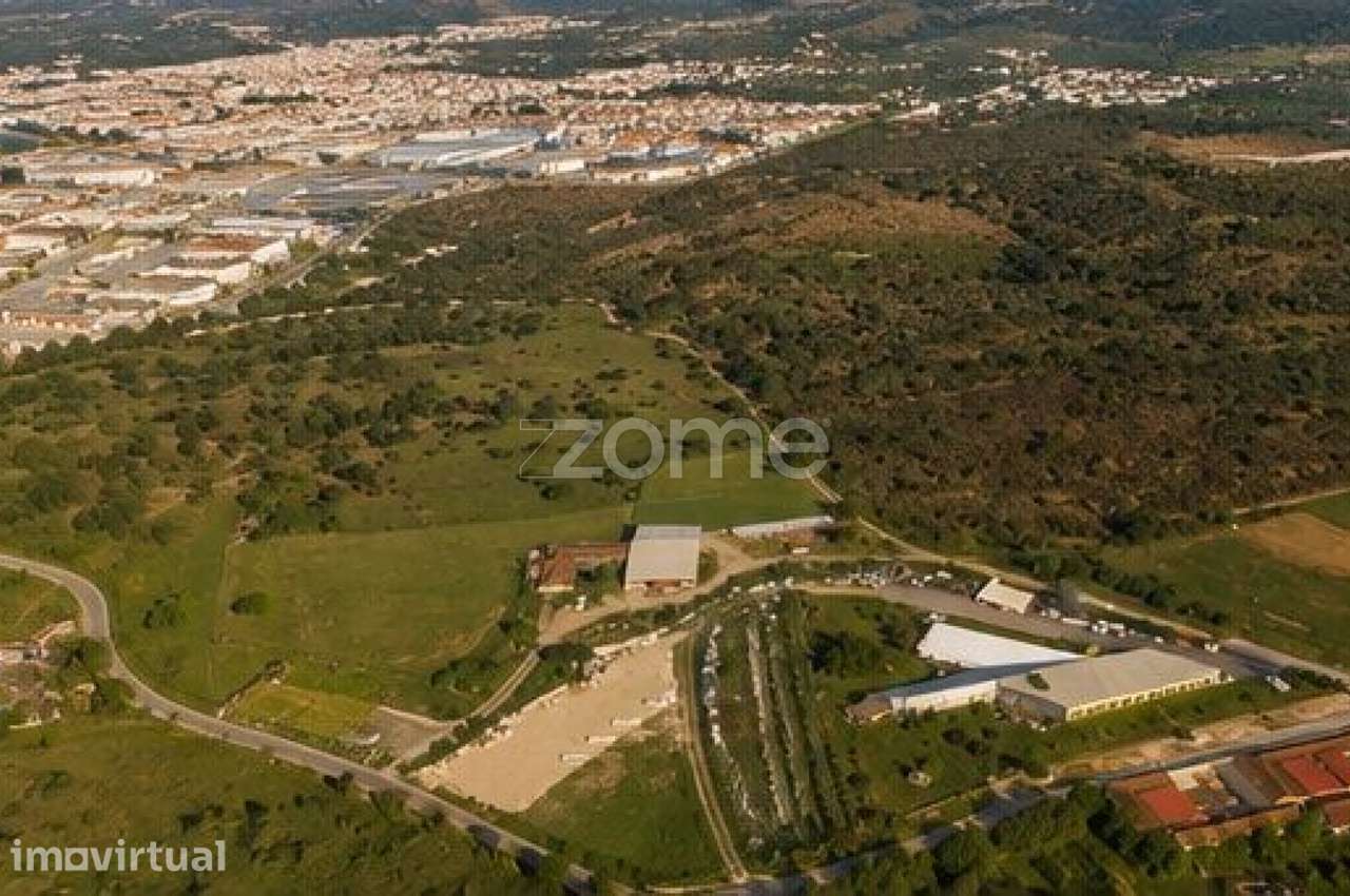 Terreno em Cantanhede - Grande imagem: 4/15
