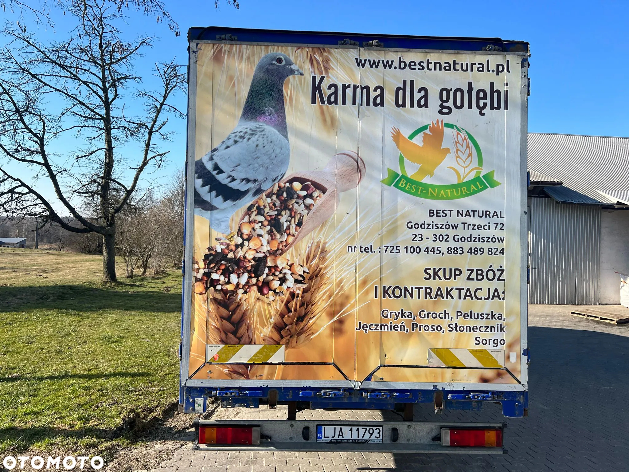 MAN TGM 12.290 | Firanka | 2 Łóżka | Euro 5 - 4