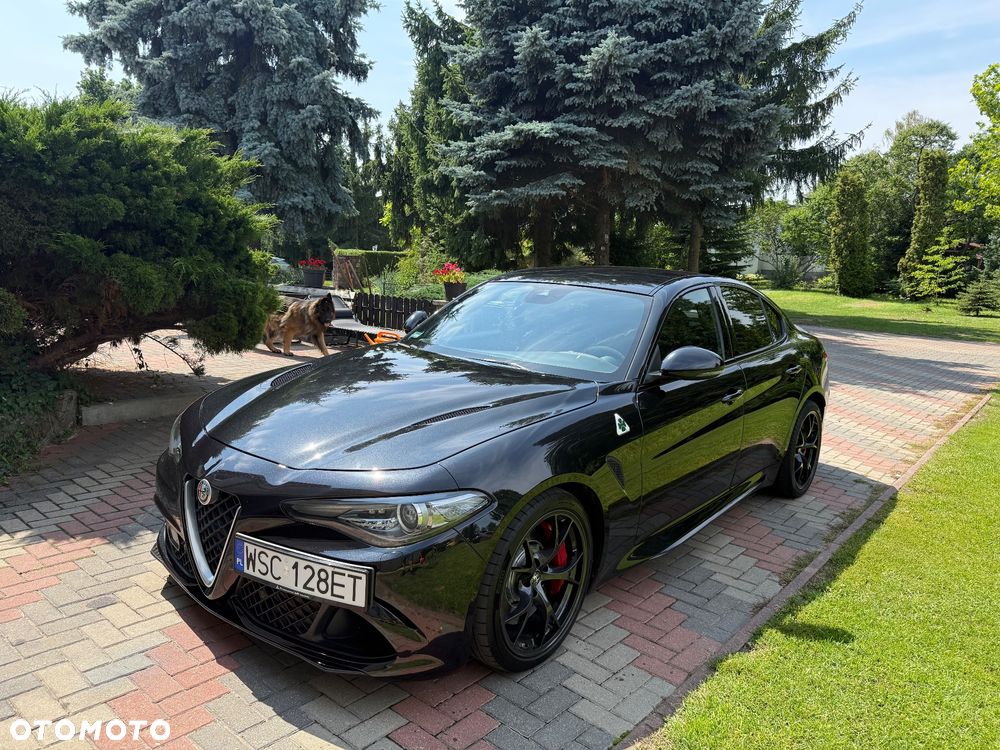 Alfa Romeo Giulia 2.9 Bi Turbo V6 Quadrifoglio - 2