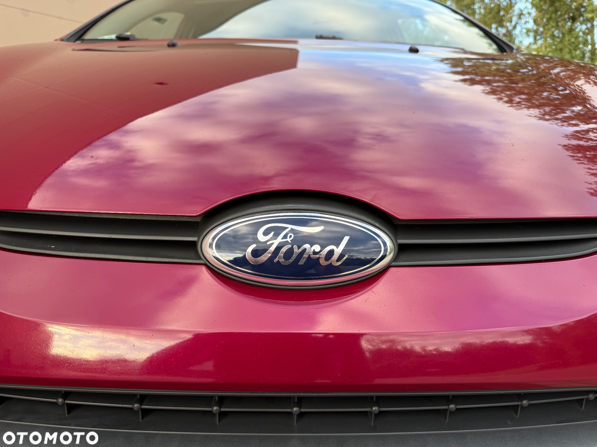 Ford Fiesta - 14