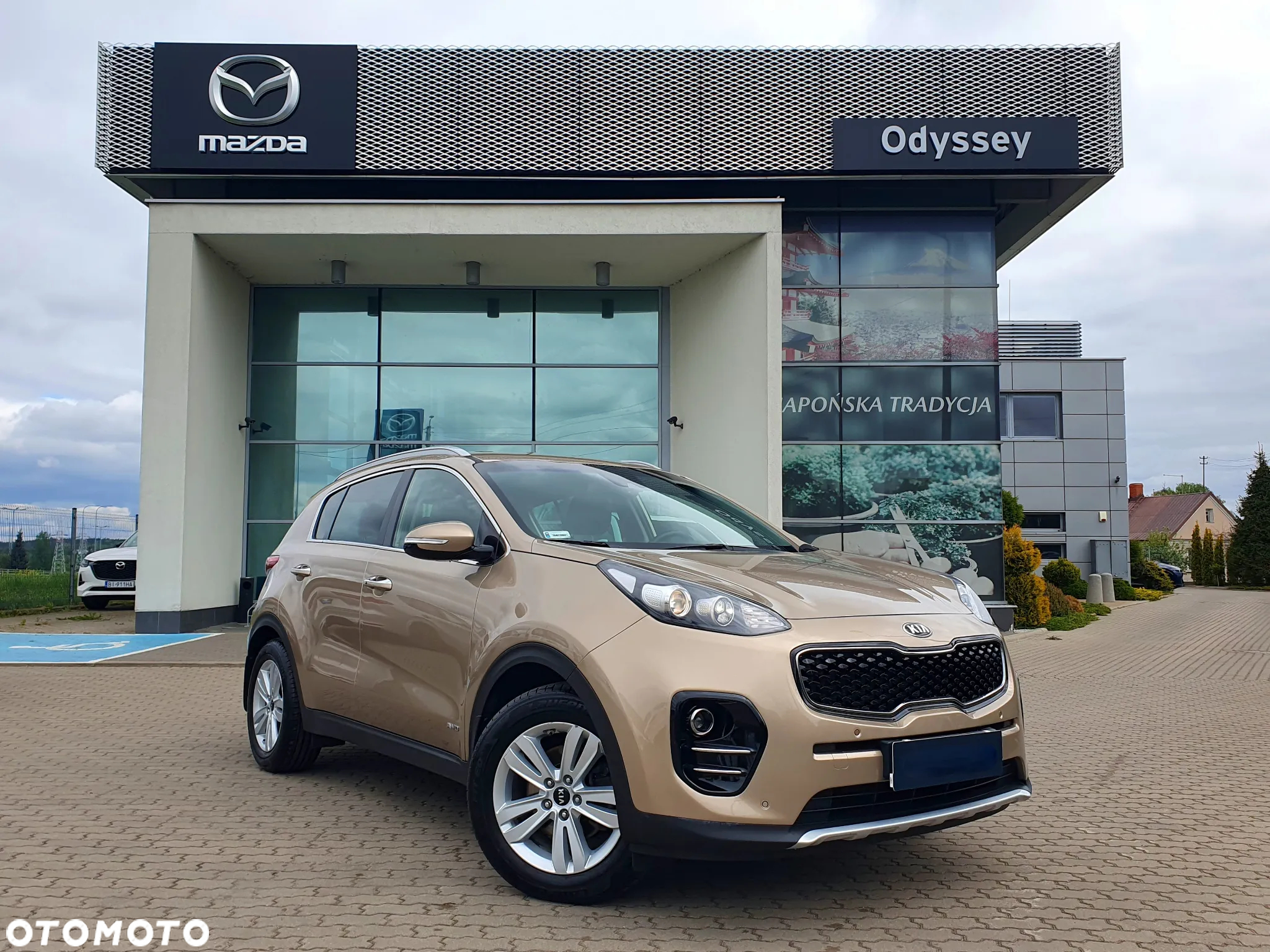 Kia Sportage 1.6 T-GDI Business Line 4WD DCT - 2
