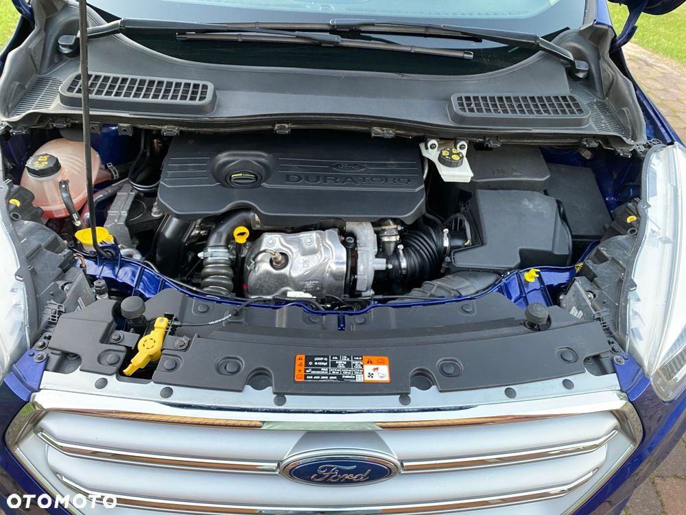 Ford Kuga 1.5 TDCi 2x4 Business Edition - 11