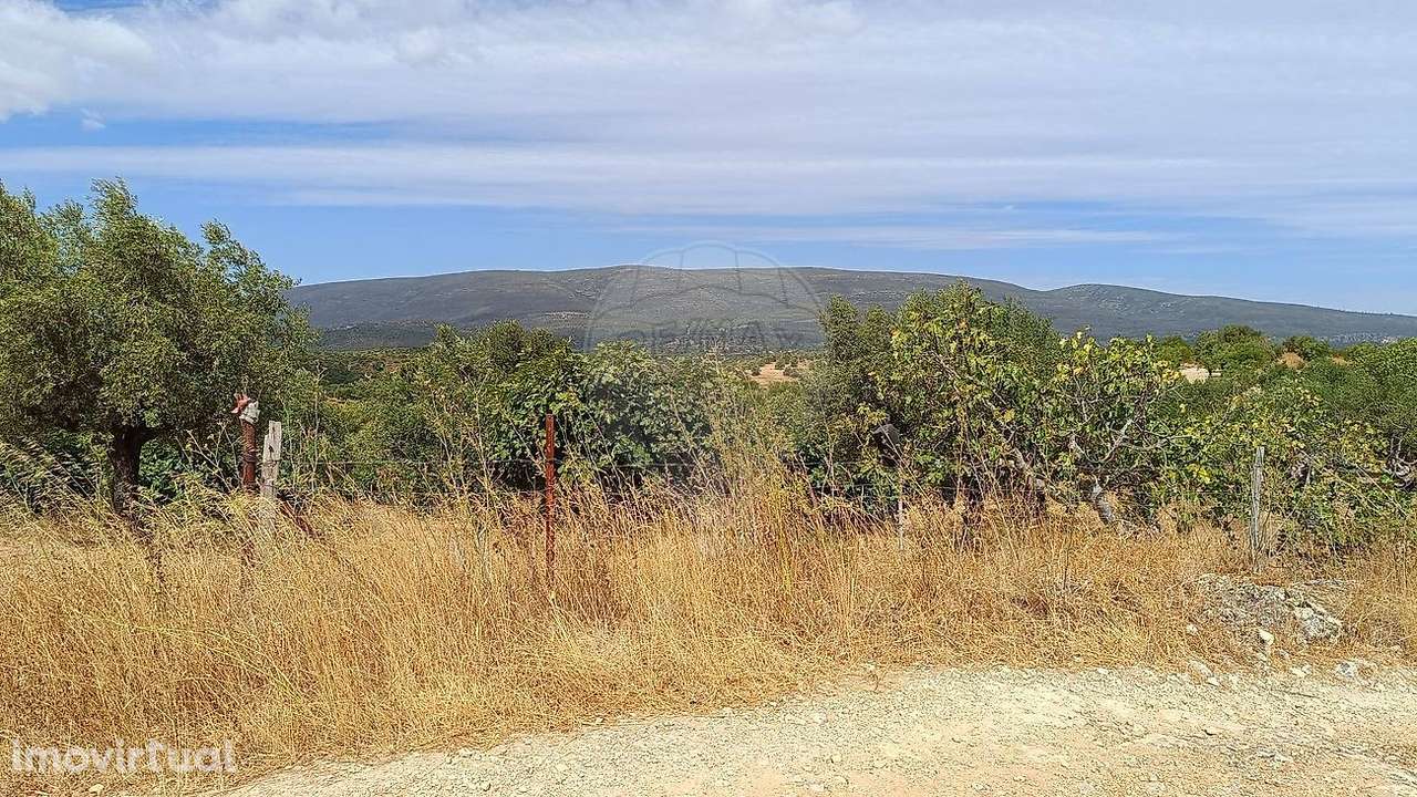 Terreno  para venda - Grande imagem: 4/6