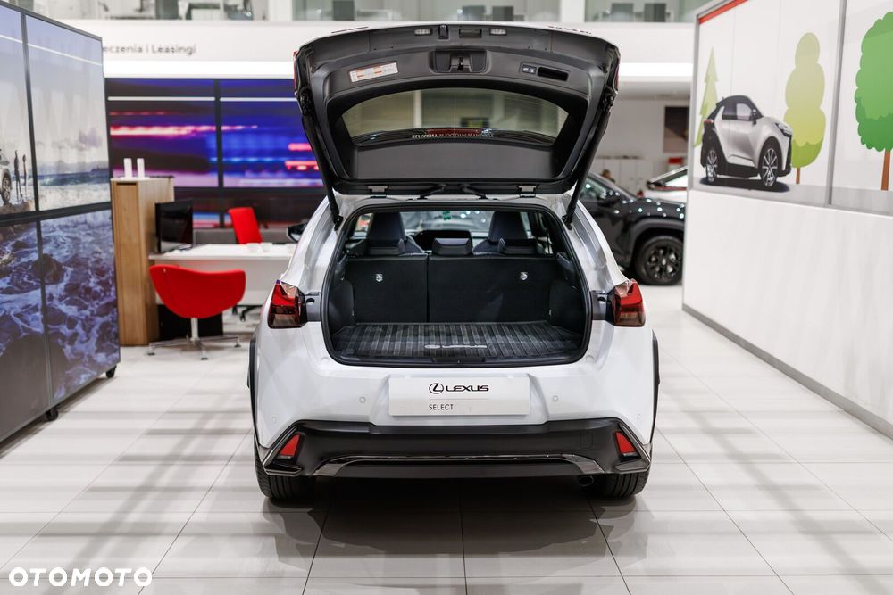 Lexus UX 300h F Sport Design - 22