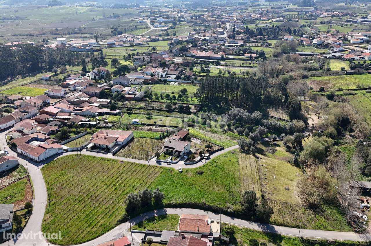 Terreno Urbanizável com 770m2 em Paredes do Bairro - Anadia - Grande imagem: 2/16