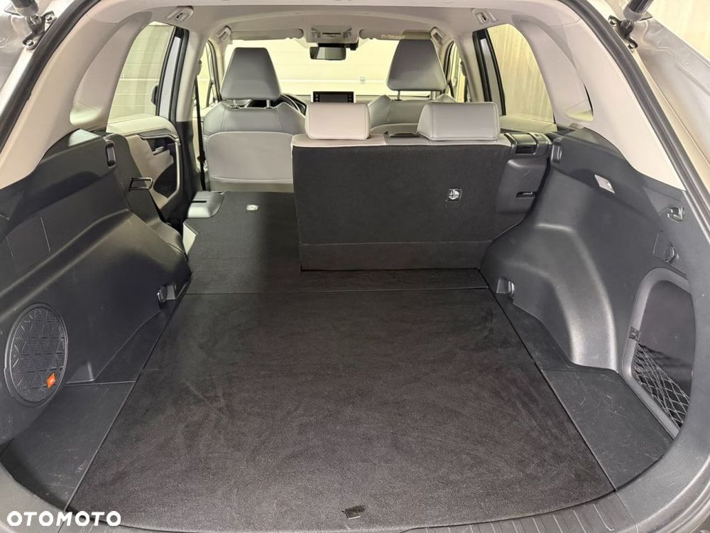 Toyota RAV4 2.5 Hybrid Executive 4x4 - 22