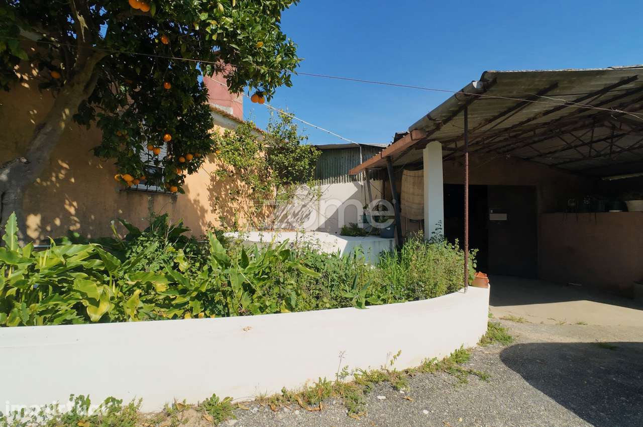 Moradia terrea com terreno em Amoreira da Gandara - Anadia - Grande imagem: 5/24