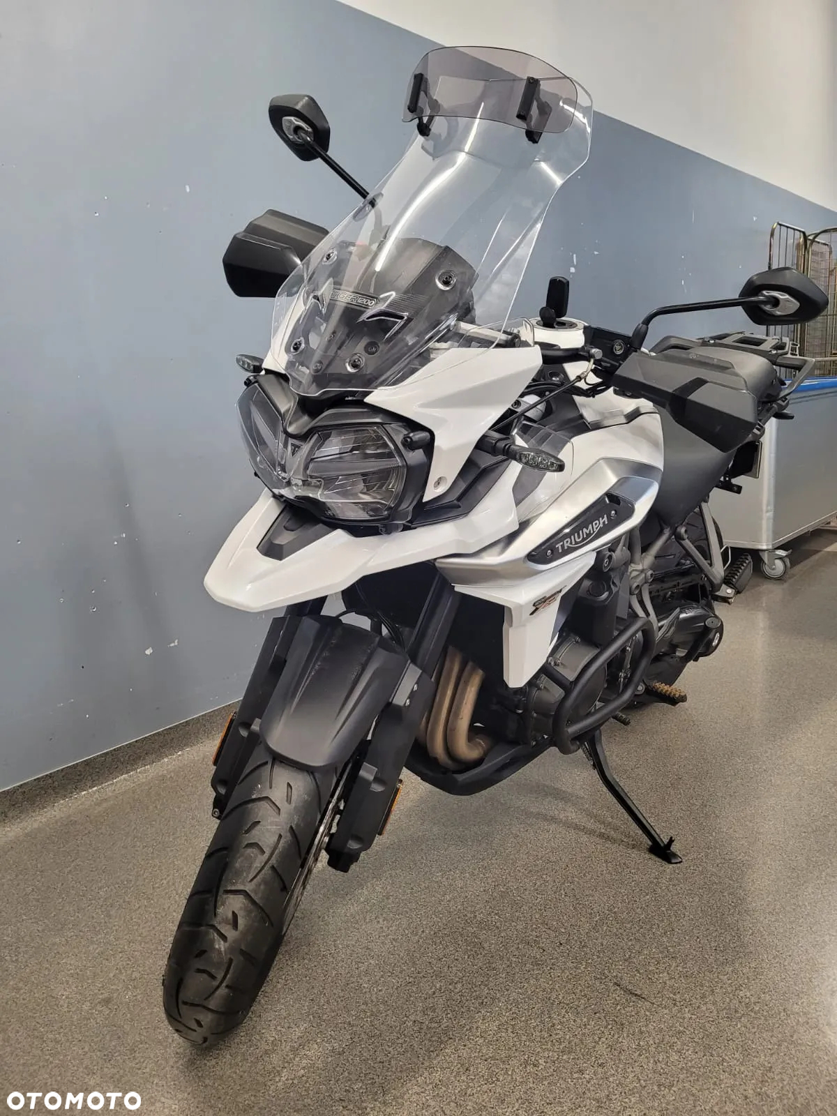 Triumph Tiger - 3