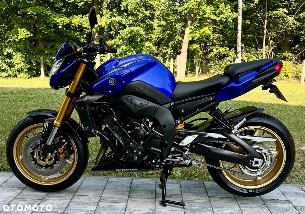 Yamaha FZ8 - 10