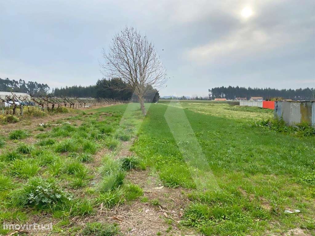 Terreno em São Bernardo - Grande imagem: 5/8