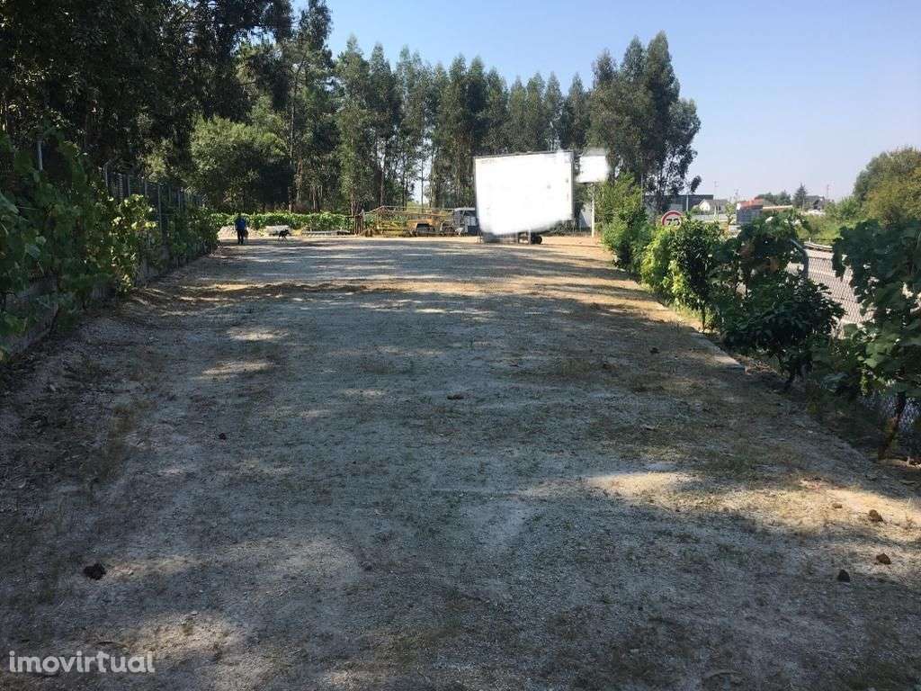 TERRENO  P/ EXPOSIÇÃO - VIMIEIRO - Grande imagem: 3/8