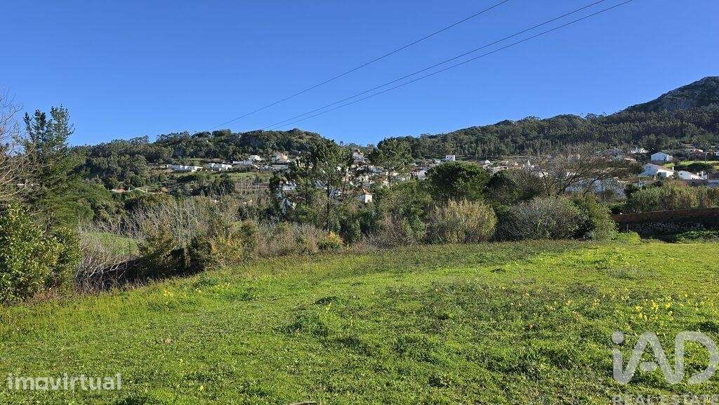 Terreno para construção em Lamas e Cercal - Grande imagem: 3/25