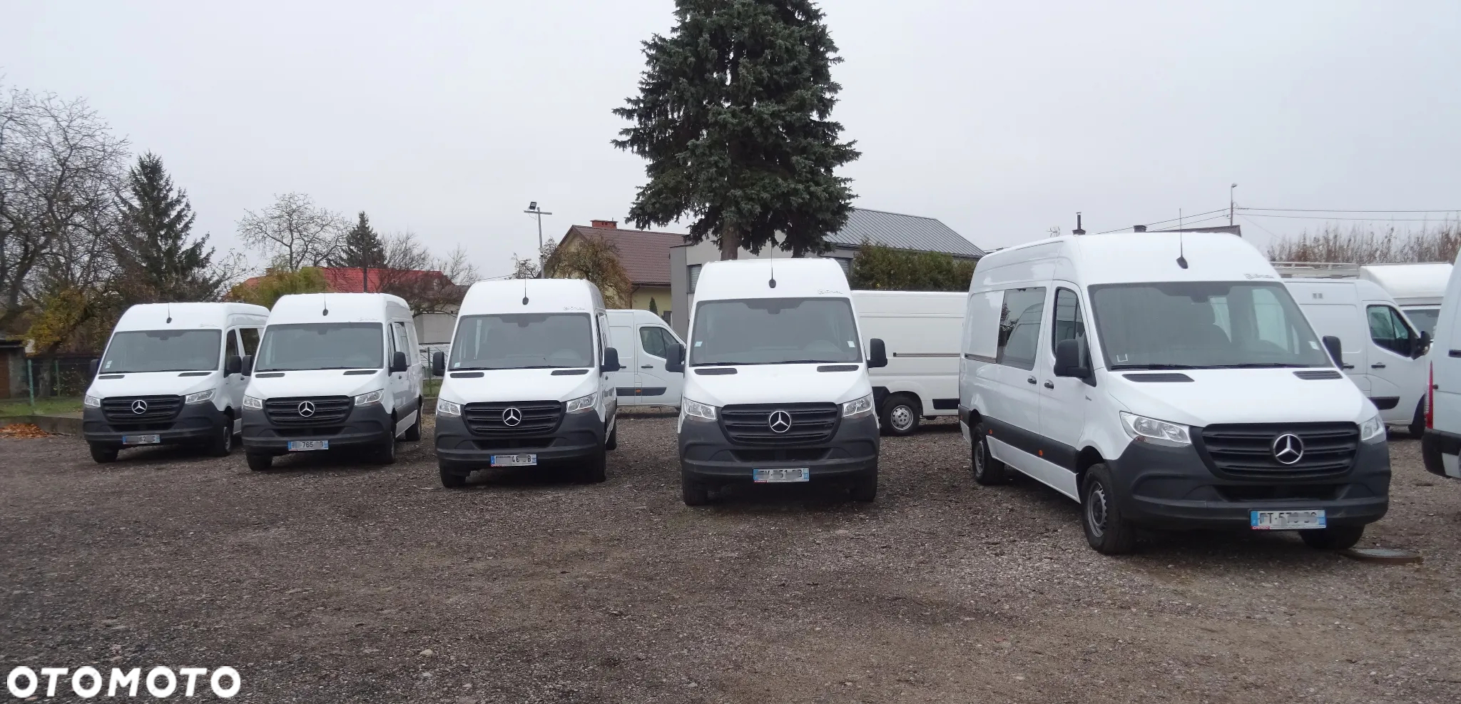 Mercedes-Benz SPRINTER - 31