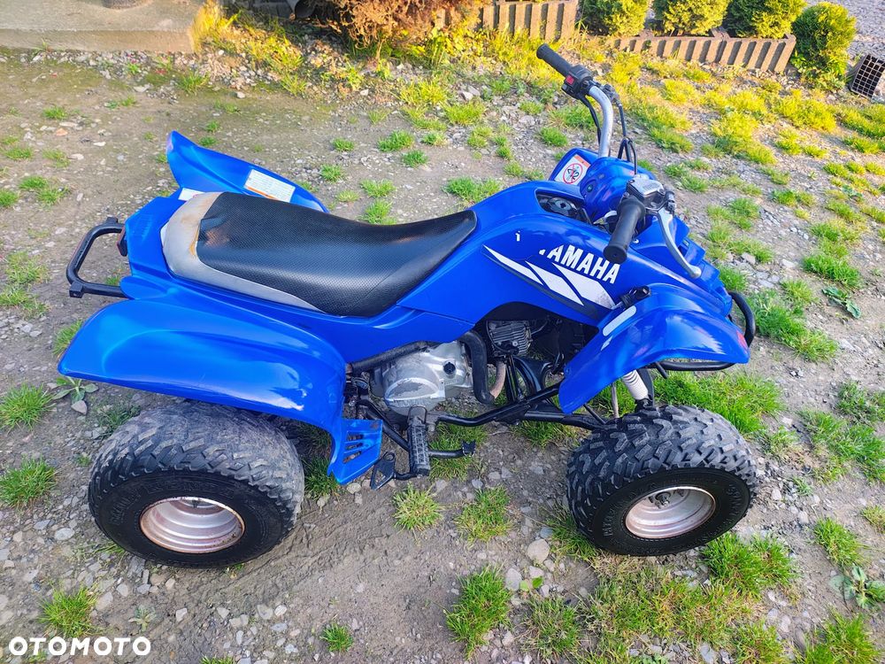 Yamaha Raptor - 10