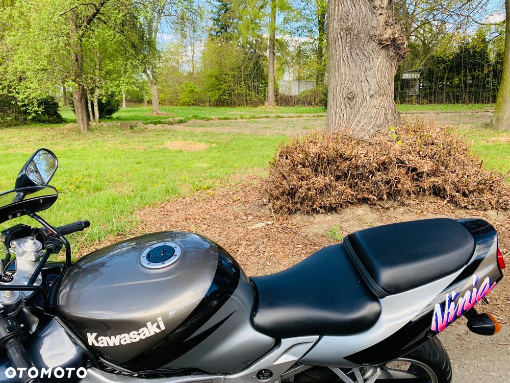 Kawasaki Ninja - 7