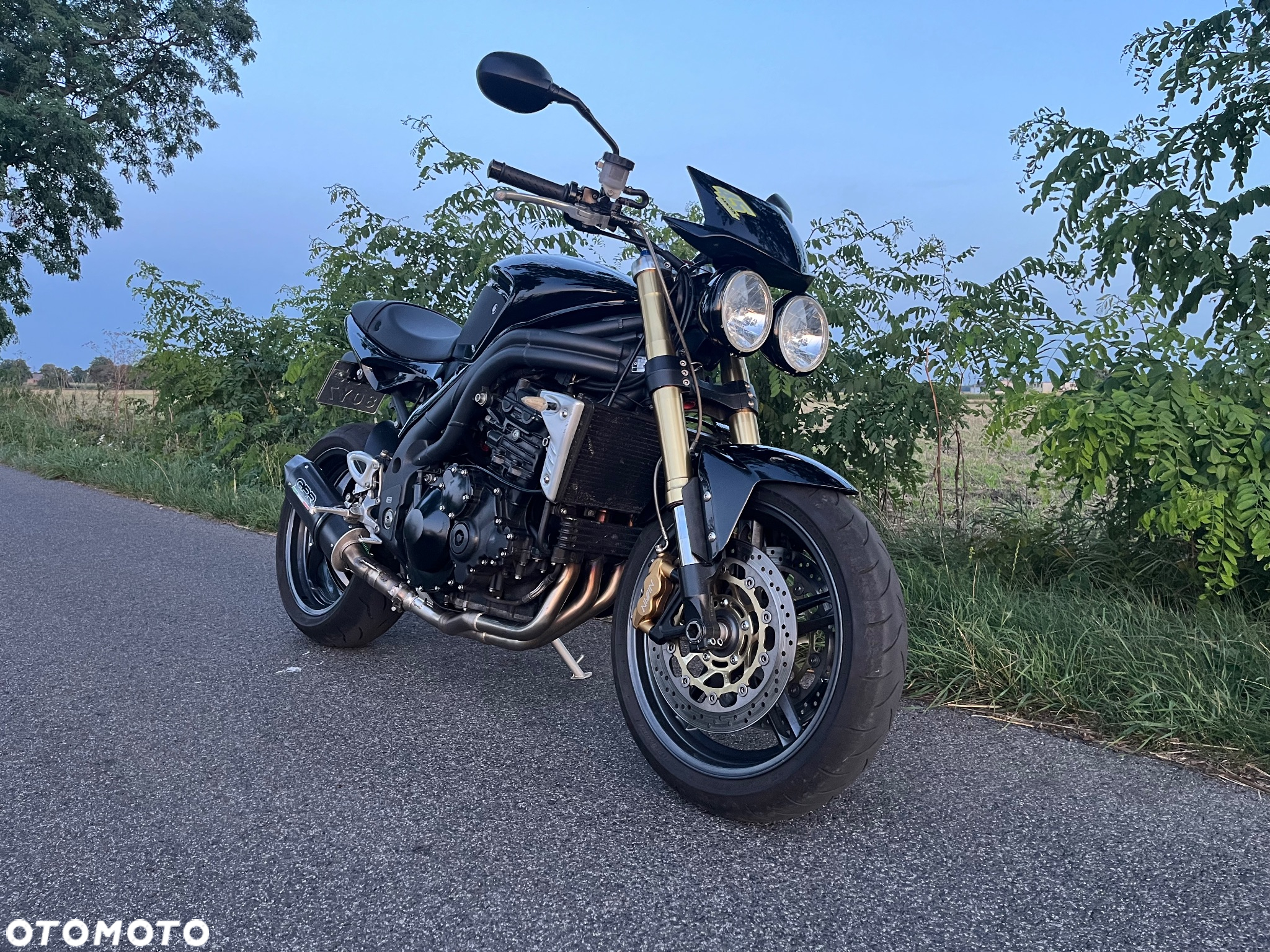Triumph Speed Triple - 4