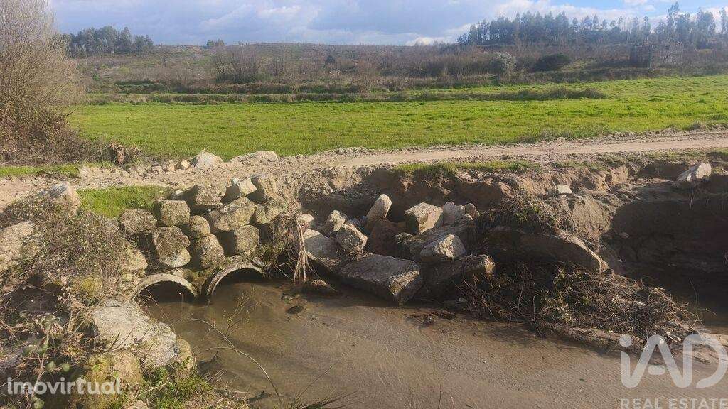 Terreno Agrícola em Seixo da Beira - Grande imagem: 5/24