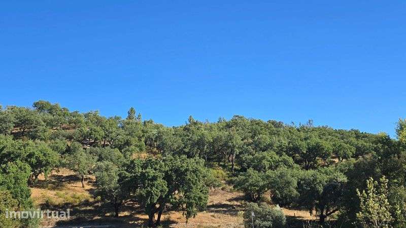 Terreno de  9 hectares com muitos sobreiros - Tramaga