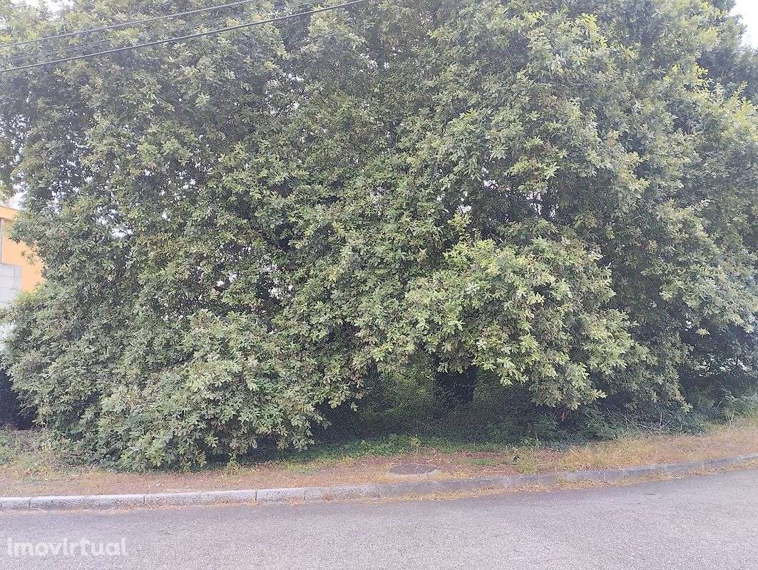 Terreno  para venda - Grande imagem: 2/4